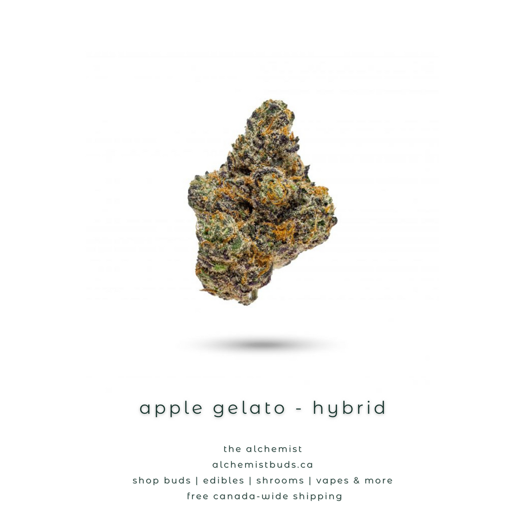 AAAA | APPLE GELATO - HYBRID