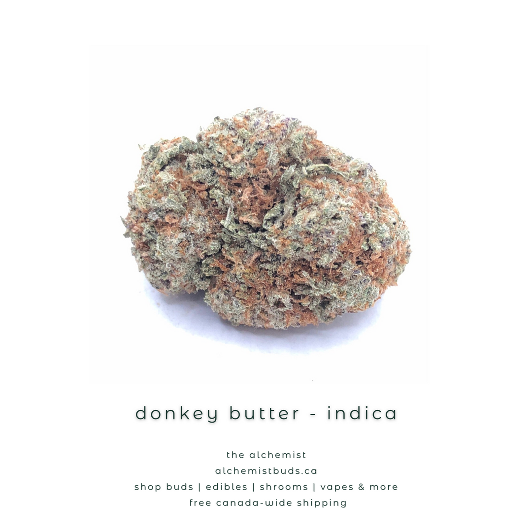 AAAA | DONKEY BUTTER - INDICA