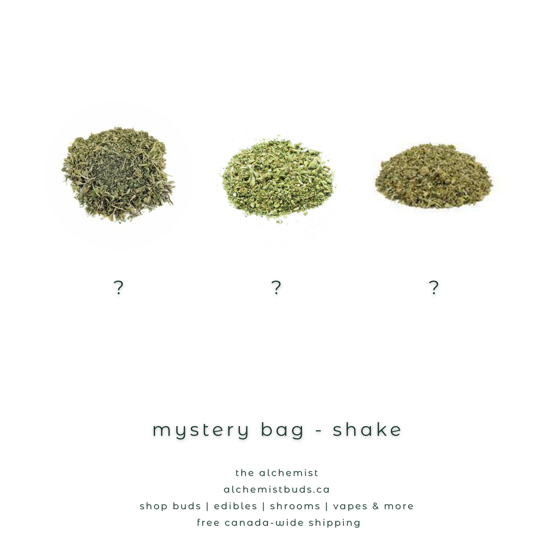 AAAA | MYSTERY BAG - SHAKE