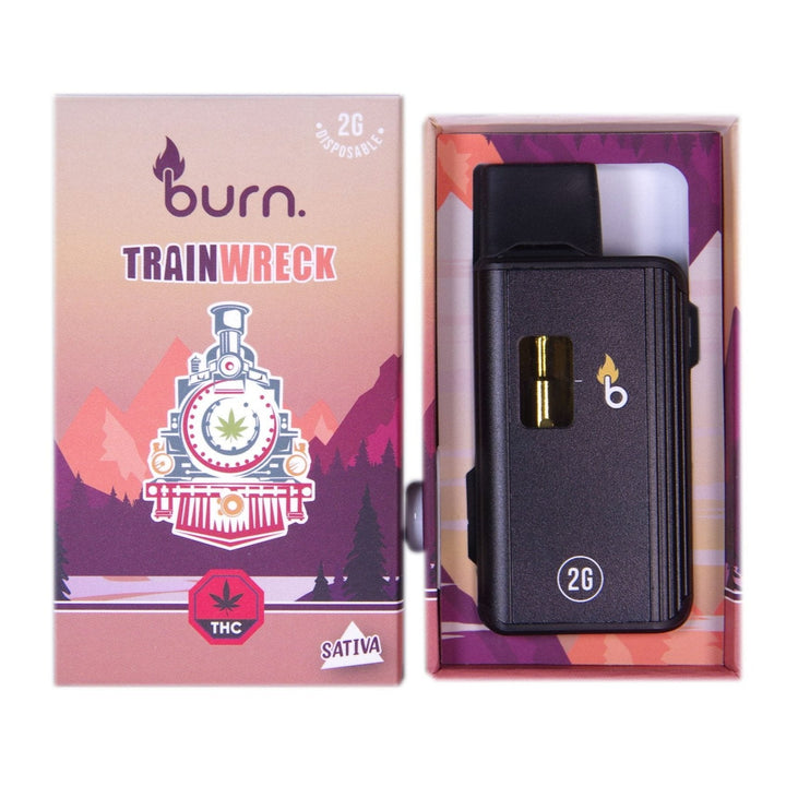 BURN. THC DISPOSABLE VAPE PEN | 2G